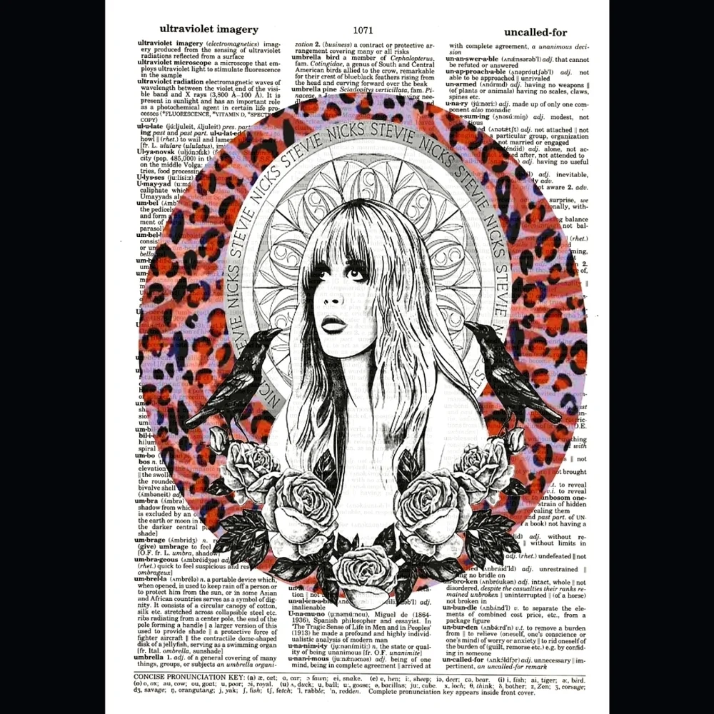 Stevie Nicks Fleetwood Mac Music Artist Band Dictionary Art Print